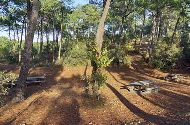 Bois Soret picnic area