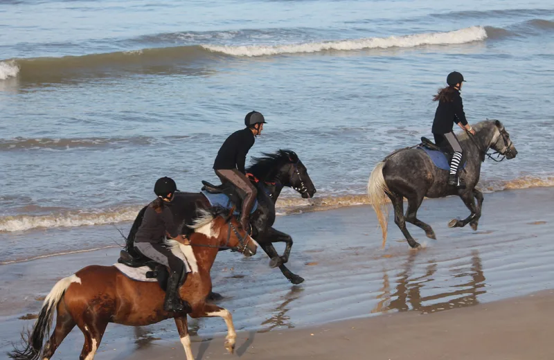 La Chevauchée des Dunes – horse riding centre