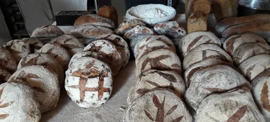 Visite de la boulangerie à la ferme Sacré Pain !!!