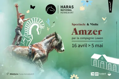 Amzer - Haras National d’Hennebont