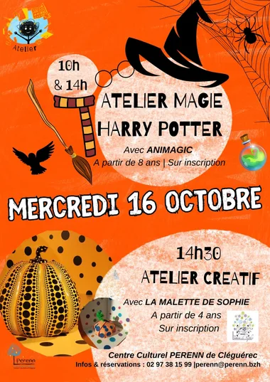 Atelier magie Harry Potter