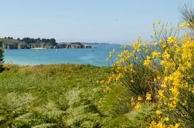 Compagnie-du-Golfe-Vannes-Golfe-du-Morbihan-Bretagne-Sud