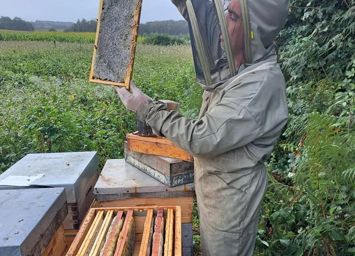 Visite d’entreprise : Mickaël Junot – Apiculteur