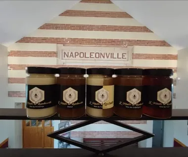 Semaine du Tourisme Economique et des Savoir-Faire : Mieillerie L’abeille de Napoléonville