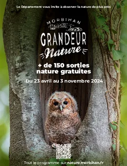 Morbihan grandeur nature : Relaxons-nous dans les bois