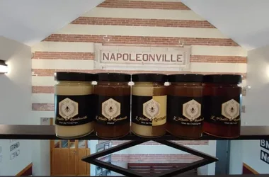 L’abeille de Napoléonville