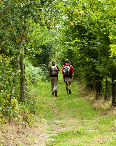 10. Circuit des étangs et de la forêt de Branguily