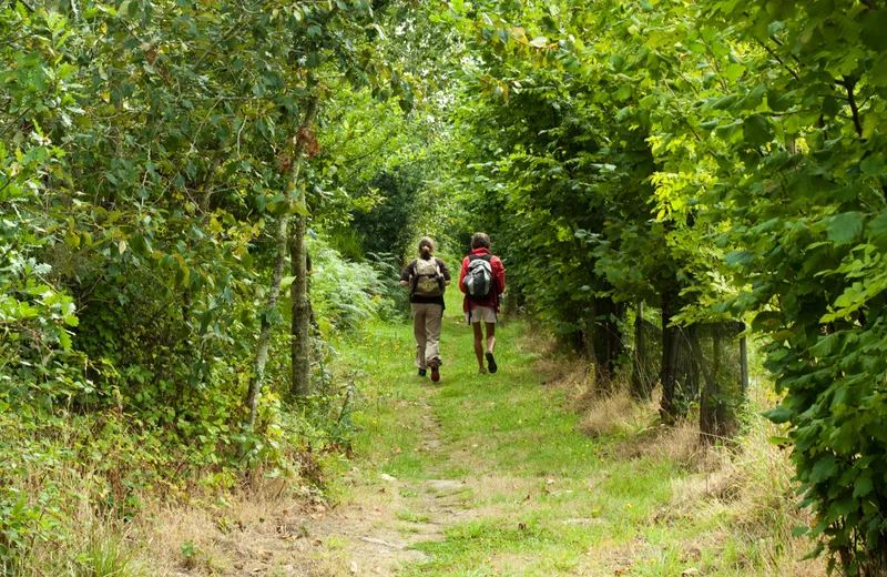 10. Circuit des étangs et de la forêt de Branguily