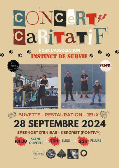 Concert caritatif