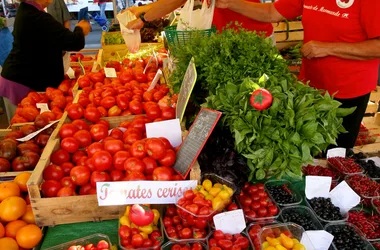 Fête de la Tomate de Marmande