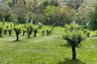 Gîte Le Lot d’Amandiers