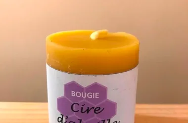 Exploitation agricole DELEPLANQUE - Bougie H5