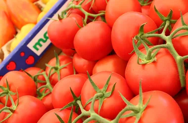 Fête de la Tomate de Marmande