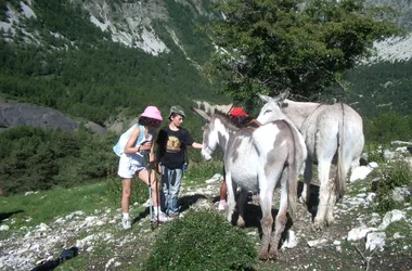 Itinérance Trekking