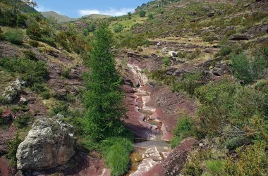 La randonnée des couleurs – Boucle du Cians et de Daluis