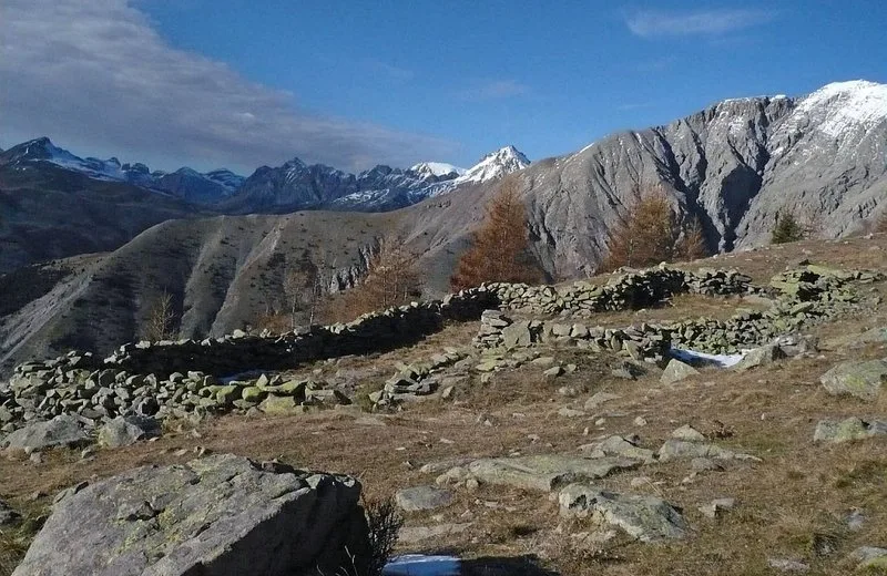 Le Bois de Rougnous