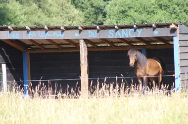 Berthaire horse farm