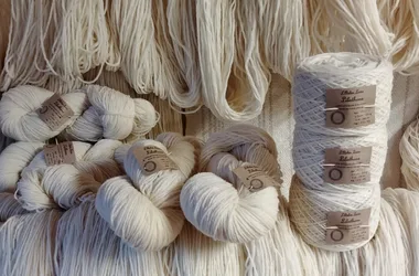wool workshop