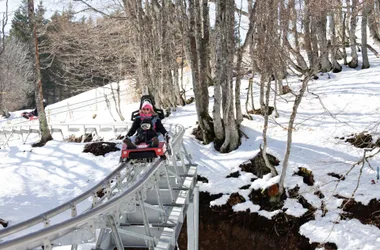 Rail sled - Super Coaster
