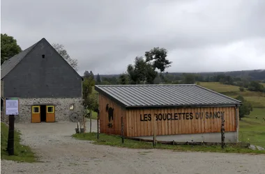 les-bouclettes-du-sancy-la-tour-d-auvernia