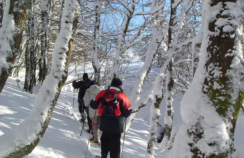 Group snowshoe support with Kévin Conilh