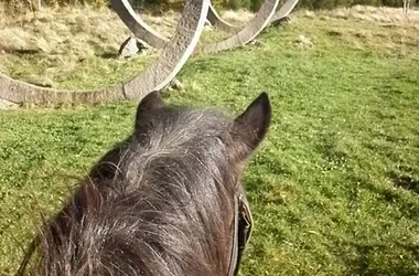 Horseback riding - La Ferme de la Marinette