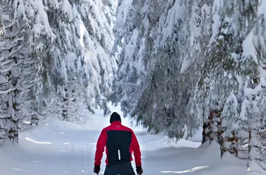 Alquiler de esquí de fondo