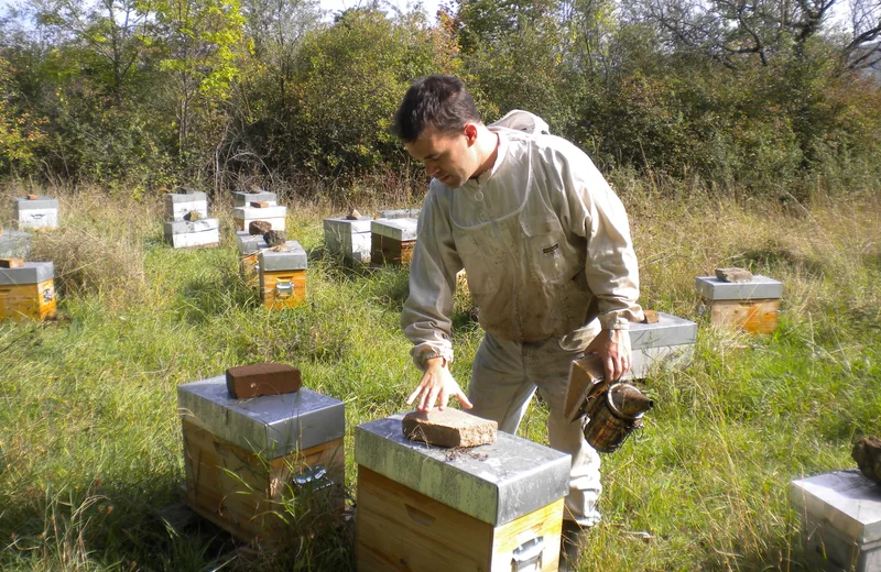 Mathieu Sirvins beekeeper.JPG