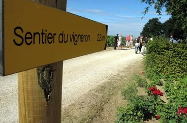 Le Sentier du Vigneron