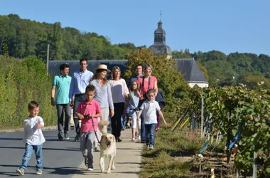 Visites guidées d’Hautvillers – “Le nez en l’air”