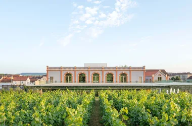 Pressoria – Voyage sensoriel au cœur de la Champagne