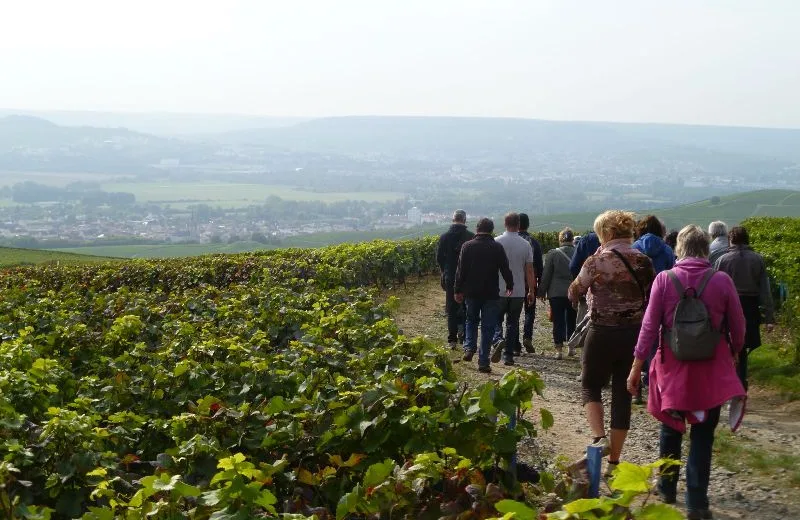 Le Sentier du Vigneron