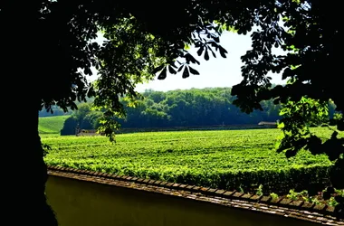 Maison de Champagne Canard-Duchêne