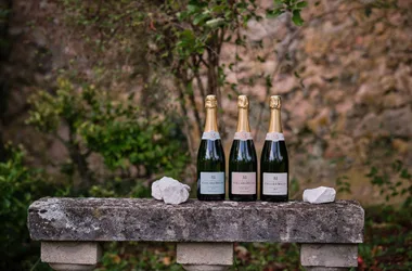 Le Clos Corbier – Champagne Collard-Milesi