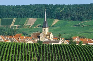 Église Saint-Pierre-Saint-Paul