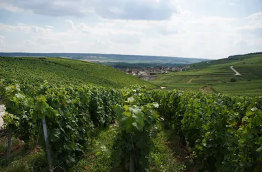 Balade gourmande à Cumières