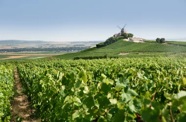 Champagne Rousseaux-Batteux