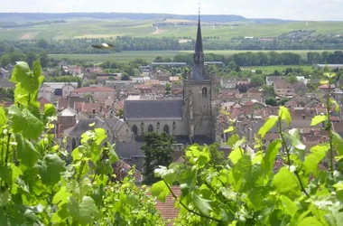 Visites Gourmandes et Pétillantes