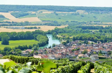 Coteaux, Maisons et Caves de Champagne