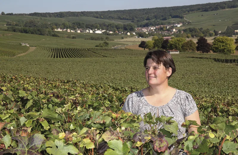 Champagne Christelle Salomon