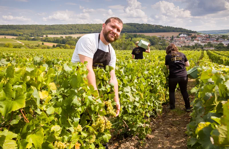 Champagne Roger-Constant Lemaire