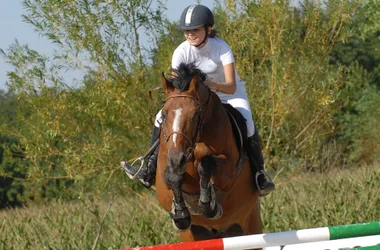 Show jumping Elodie and Beauverdi