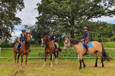 Ferme Equestre stages d'équitation près de Guédelon