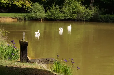 Montigny castle swan park