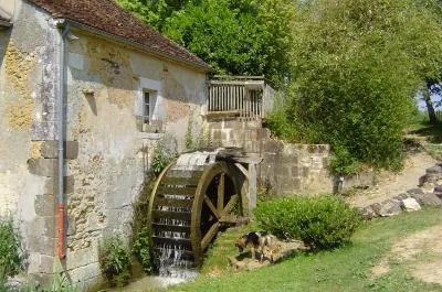 Sentier botanique du Moulin de Vanneau