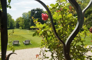 Exterior rose bush park - Château de Montigny