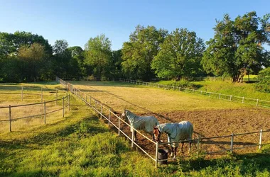 Ferme Equestre Gateau Stables chevaux au padock