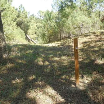 Parcours d’orientation vert – Le Lac de Saint-Palais