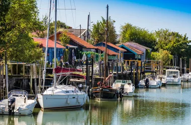 Les Chemins de la Seudre : De La Tremblade à Mornac-sur-Seudre