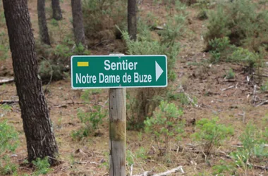 Sentier Notre-Dame-de-Buze – Forêt de la Coubre